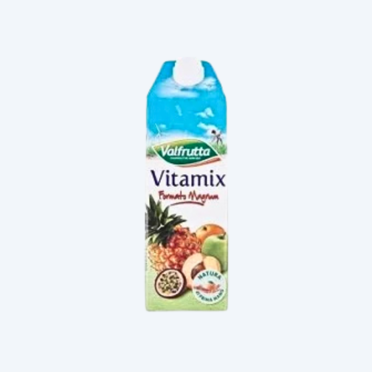 Valfrutta Vitamix 1x1,5l